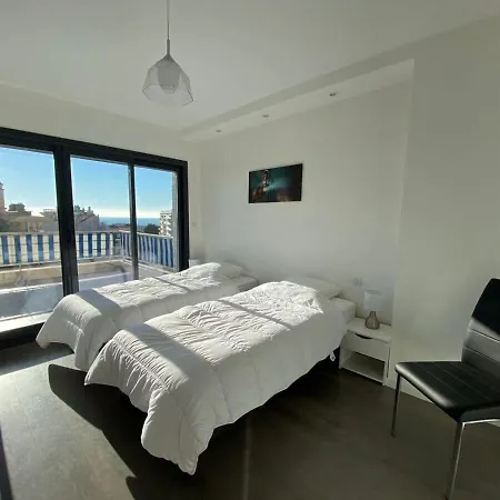 C010 - Magnifique Toit Terrasse 公寓 戛纳